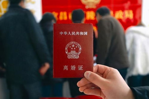 新闪婚老公是首富短剧最新资讯--第1张