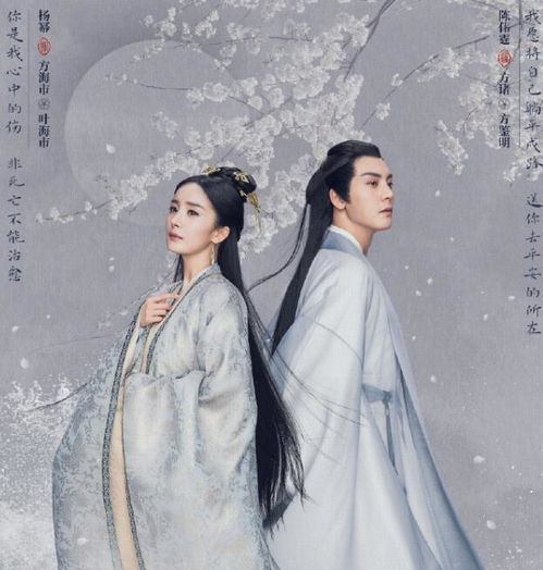 离婚后洛少宠我太狂野短剧，离婚后少夫人每天都想官宣免费阅读--第1张