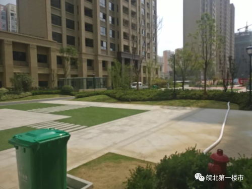 绝命洗屋人短剧最新绝命+绝命资讯--第1张