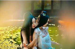 和离后我成了太子白月光短剧最新资讯 和离后我成了太子妃 小说--第1张