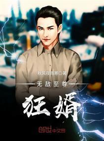 狂婿至尊，狂婿最新章节免费阅读--第1张
