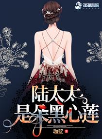 夫人是朵黑心莲最新剧集资讯--第1张