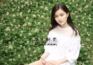 全城美女都要嫁给我短剧最新资讯 全城变美--第1张