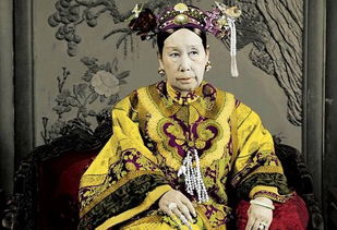 王妃娘娘穿越现代，飙戏之旅再起航！--第1张