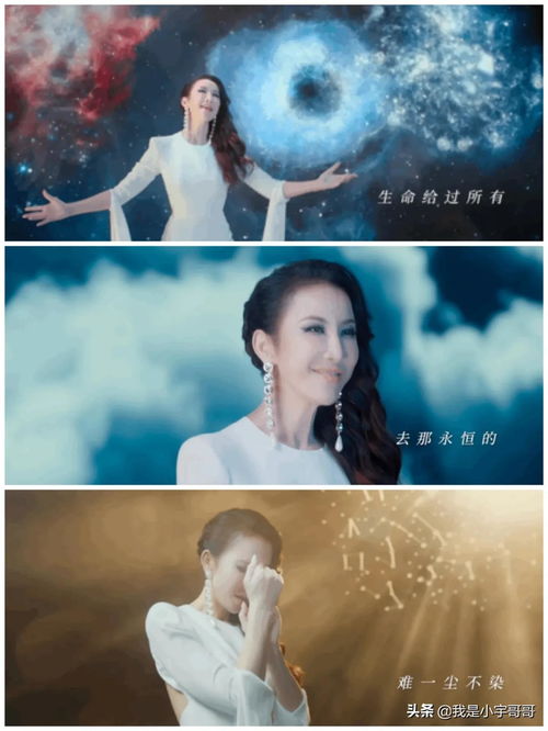 YU望的代价，全集免费观看--第1张