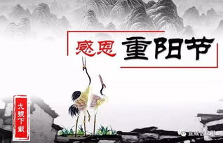 长风踏歌短剧全集免费观看，短剧新宠，随时随地畅享剧情！--第1张