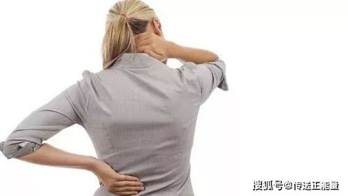 时岁知味短剧全集免费观看，时岁是什么意思--第1张
