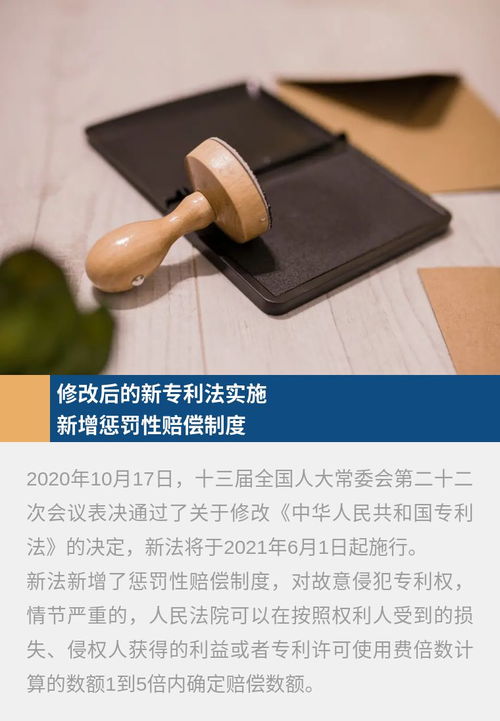 美女徒弟修仙免费观看资讯--第1张