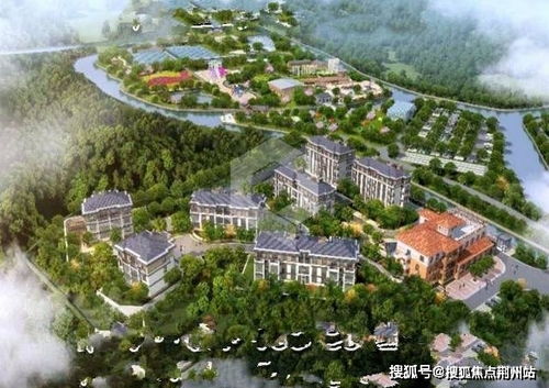 离职后我被前上司缠上了免费观看资讯--第1张