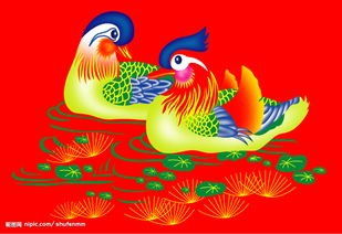 只羡鸳鸯不羡仙婚后侯爷宠妻无度短剧全集免费观看资讯 只羡鸳鸯不羡狐结局--第1张