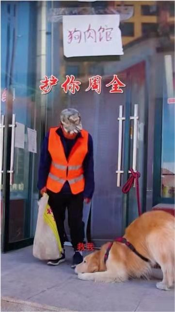 捡来的忠犬老公是亿万富翁短剧全集免费观看资讯 捡来的小忠犬--第1张