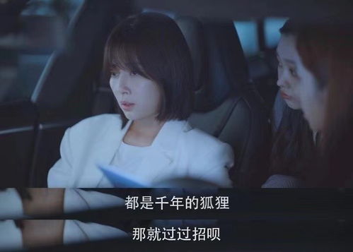 陆少的在逃小娇妻短剧全集免费观看，最新资讯--第1张