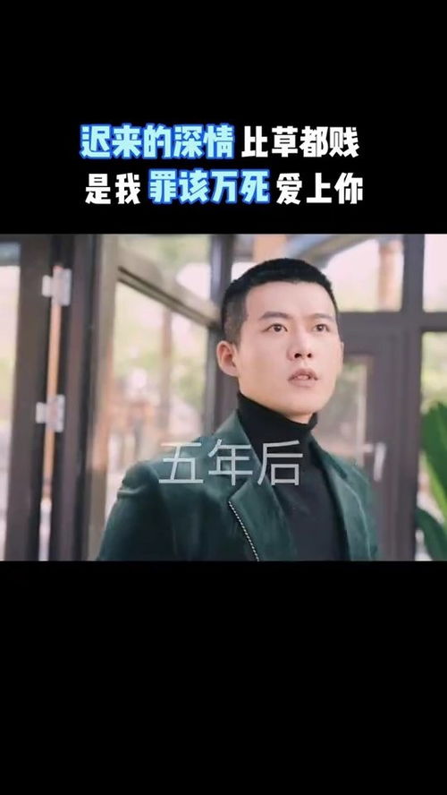 他说爱情已迟暮，免费阅读大结局全集--第1张