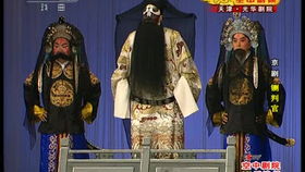 天降傻婿，我的姑爷太逆天短剧全集免费观看资讯--第1张