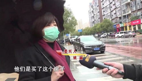 前夫叫我老板娘，小长篇短剧全集免费观看资讯--第1张