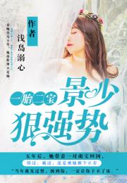 一胎二宝离婚前老婆重生了短剧全集免费观看资讯--第1张