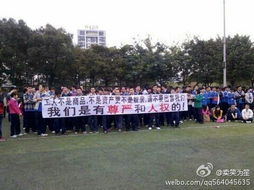 东莞工厂打工人视频，西莞打工人短剧全集免费观看资讯--第1张
