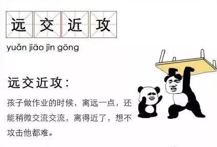 太太别卷了，你老公是首富，短剧全集免费观看资讯--第1张