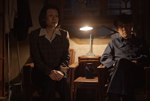 重生我的繁花时代女儿唾弃我的坟墓短剧全集免费观看资讯 --第1张