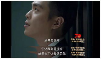 重生黄金年代，短剧全集免费观看资讯--第1张