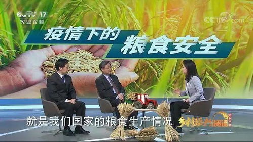 全世界都在等你离婚免费观看资讯--第1张