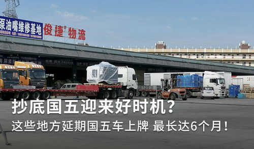 至尊崛起免费短剧全集在线观看--第1张
