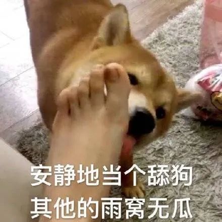 出狱后前夫成了我的舔狗--第1张