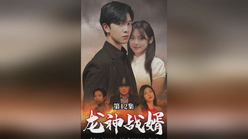 都市战婿，喜气洋洋短剧全集免费观看--第1张