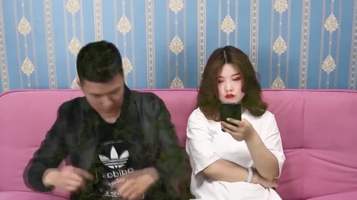女老板的逆袭短剧全集免费观看资讯网，女老板的逆袭短剧全集免费观看资讯大全免费看--第1张