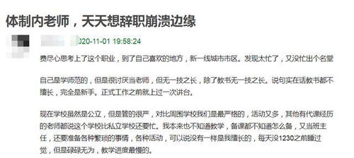 舒助理每天都想辞职短剧全集免费观看资讯 --第1张