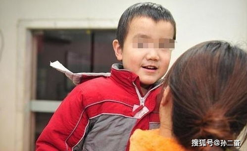 净身出户后夺回豪门人生短剧全集免费观看资讯--第1张