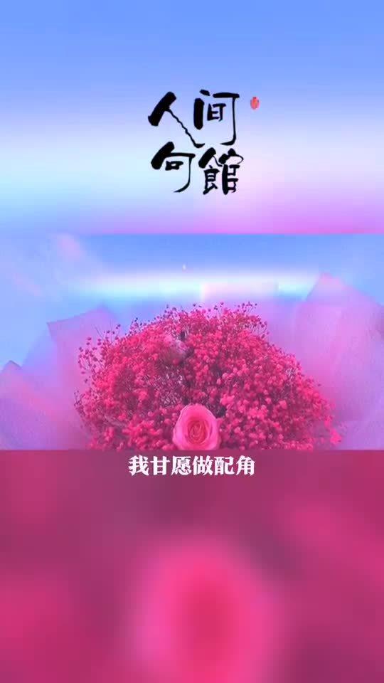 漫天星辰不及你短剧全集免费观看资讯--第1张