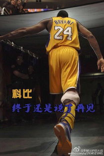 大佬总想跟我抢儿砸短剧全集免费观看资讯--第1张