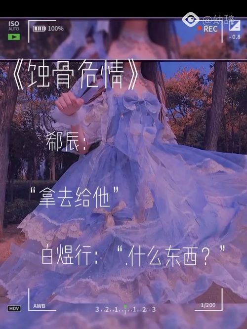 陆总追妻忙蚀骨危情，许你半世缘--第1张