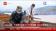 黄金眼短剧全集在线观看，极品黄金瞳免费阅读正版--第1张