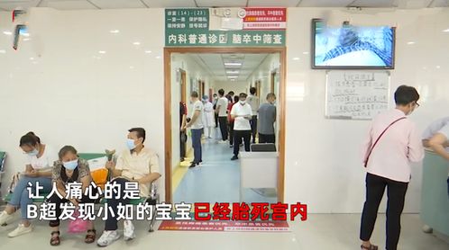 死遁后慕大人后悔了短剧在线免费观看全集资讯 死遁后我成了大佬们的白月光格格党--第1张