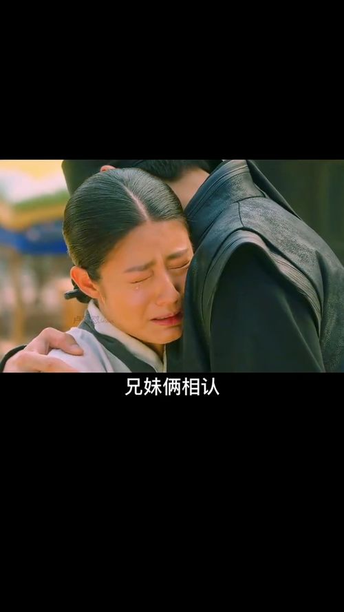 失忆后被四个大佬追杀免费观看全集资讯--第1张