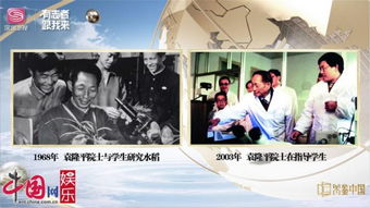 离婚崛起之路合成版短剧在线免费观看全集资讯 《离婚》--第1张