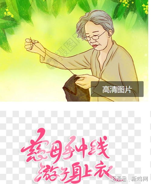 游子归乡短剧在线免费观看全集资讯--第1张