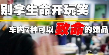 房东大人你别跑短剧在线免费观看全集资讯--第1张