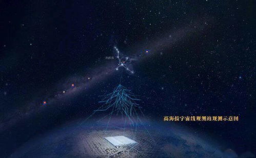 震惊！赘婿老公竟是帝豪总裁，短剧在线免费观看全集资讯--第1张