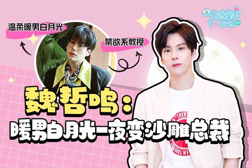 重生之无敌宝妈，全集免费观看的最新资讯--第1张