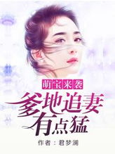 萌宝来袭，高冷爹地宠妻超甜，带崽闪婚历总儿女双全短剧全集免费观看资讯--第1张