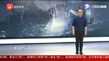 风起萧墙短剧在线免费观看全集资讯--第1张