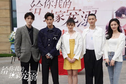 程总您认错白月光了短剧在线免费观看全集资讯 程总是什么电视剧--第1张