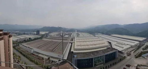 重生后，马甲夫人惊艳全球，重生后夫人的马甲掀翻全场免费在线观看全集--第1张