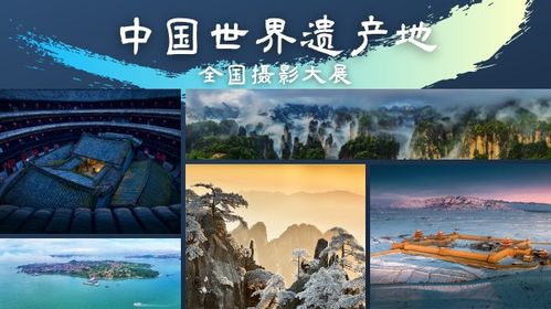 影圣短剧在线免费观看全集资讯，独家揭秘，影lyp的神秘世界--第1张