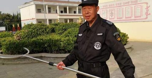 你好保安队长短剧在线免费观看全集资讯 保安族语言你好--第1张