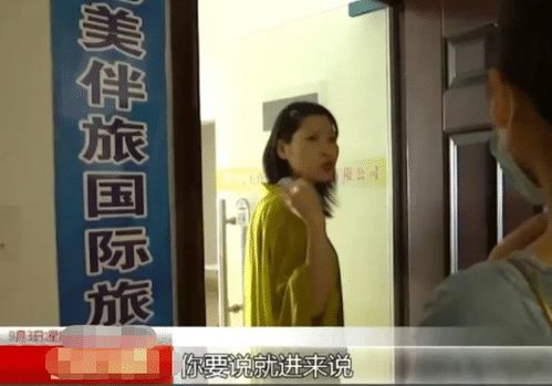 藏起孕肚离职霍总急疯了郑晨雨短剧在线免费观看全集资讯 藏起孕肚跳下20米高楼小说--第1张
