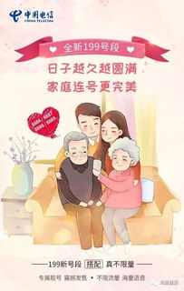 深情共白首，全集免费在线阅读--第1张